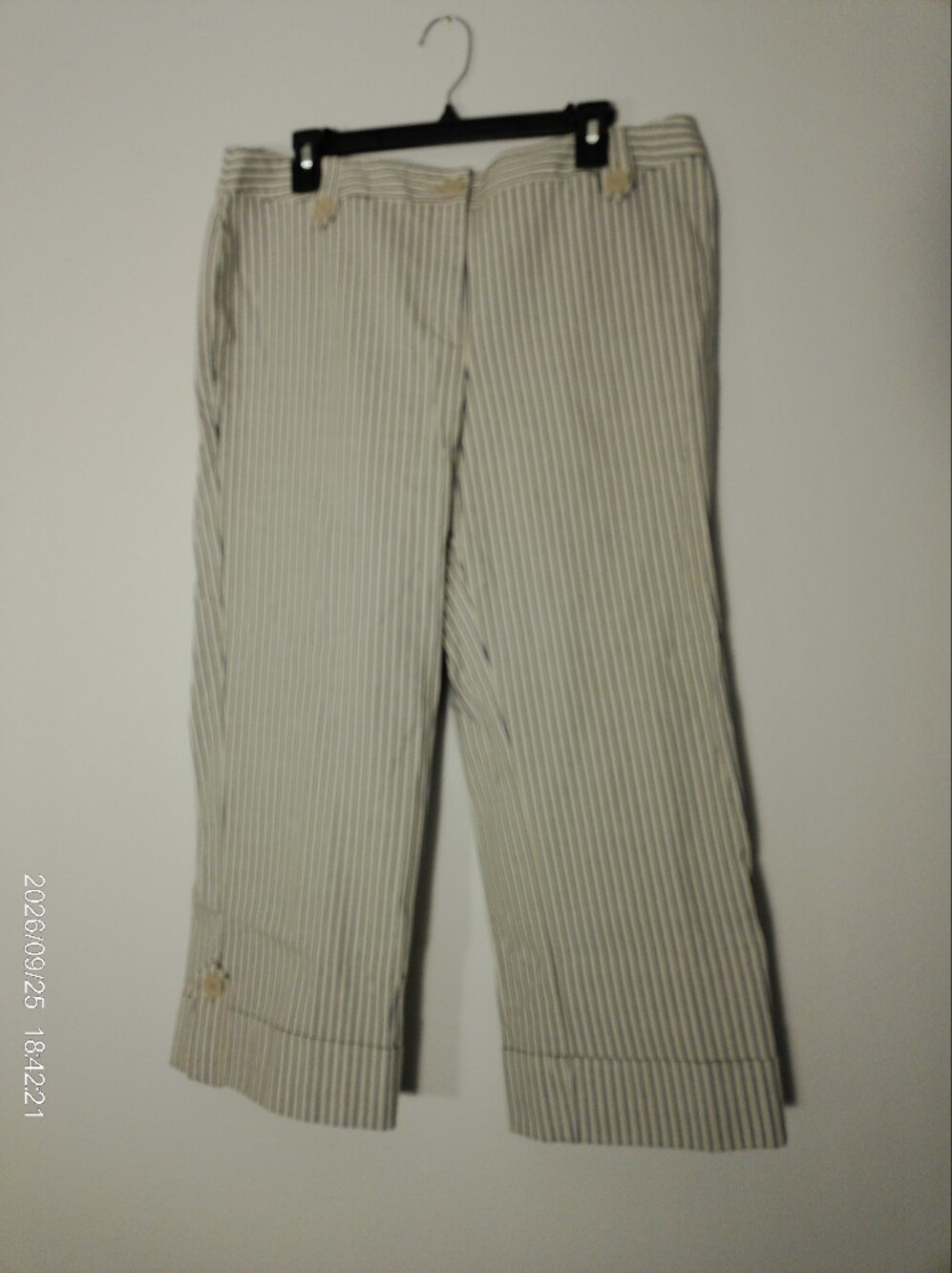 LOFT Women's Cream and White Striped  Pants